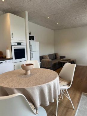 Apartment for 4 in the heart of Billund